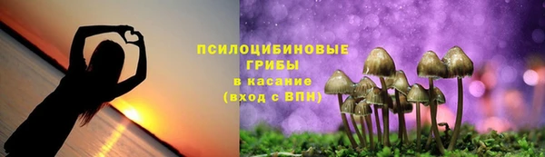 амф Алзамай