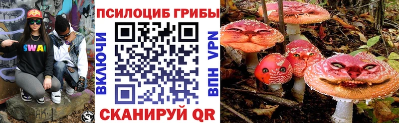 гидра маркетплейс  как найти наркотики  Артём  Псилоцибиновые грибы мицелий 